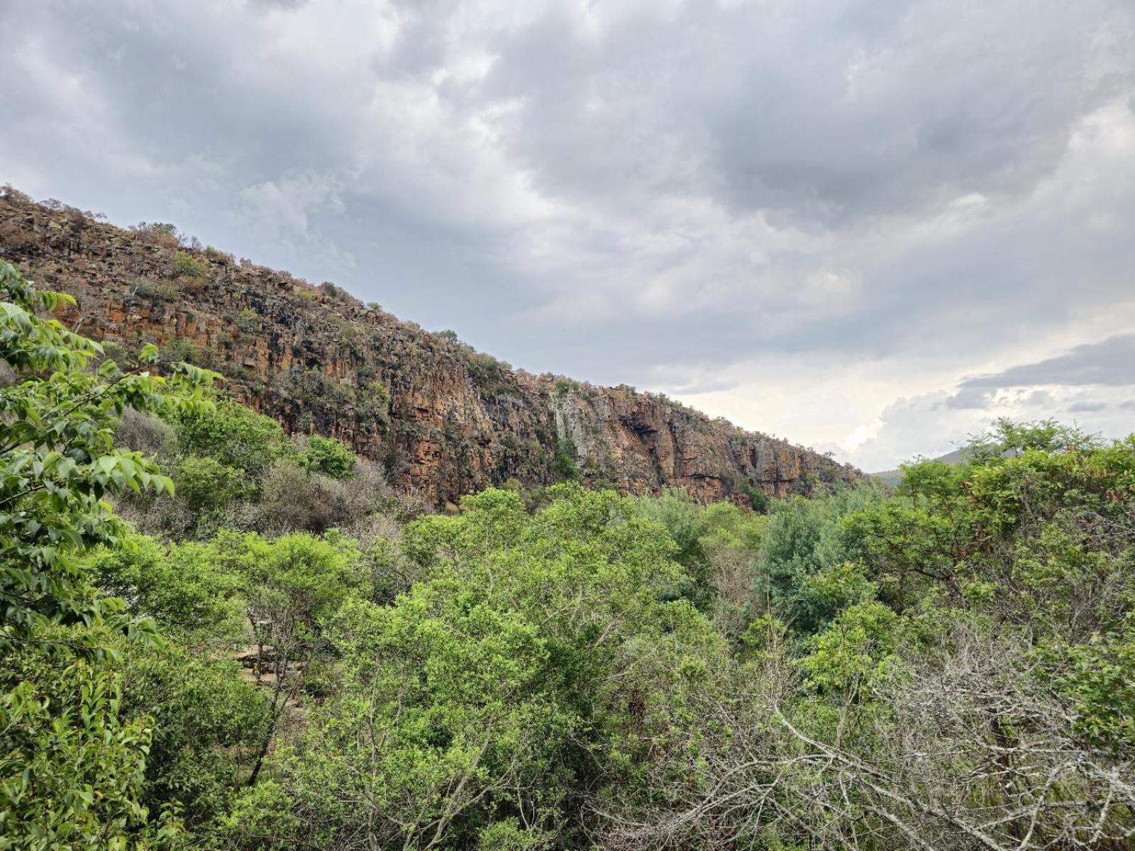 Riverbed Africa Lydenburg Rum bild