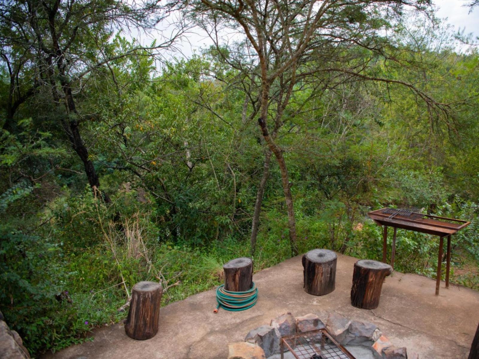 Riverbed Africa Lydenburg Rum bild