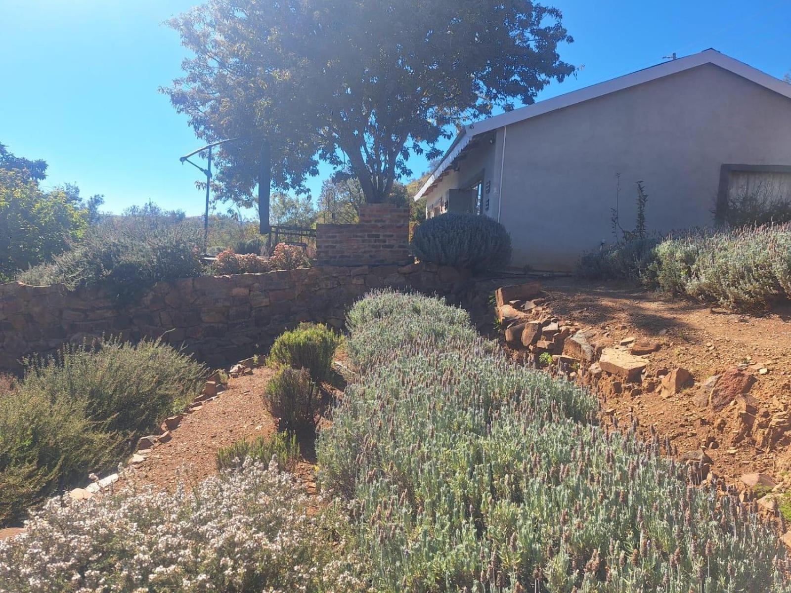 Riverbed Africa Lydenburg Rum bild