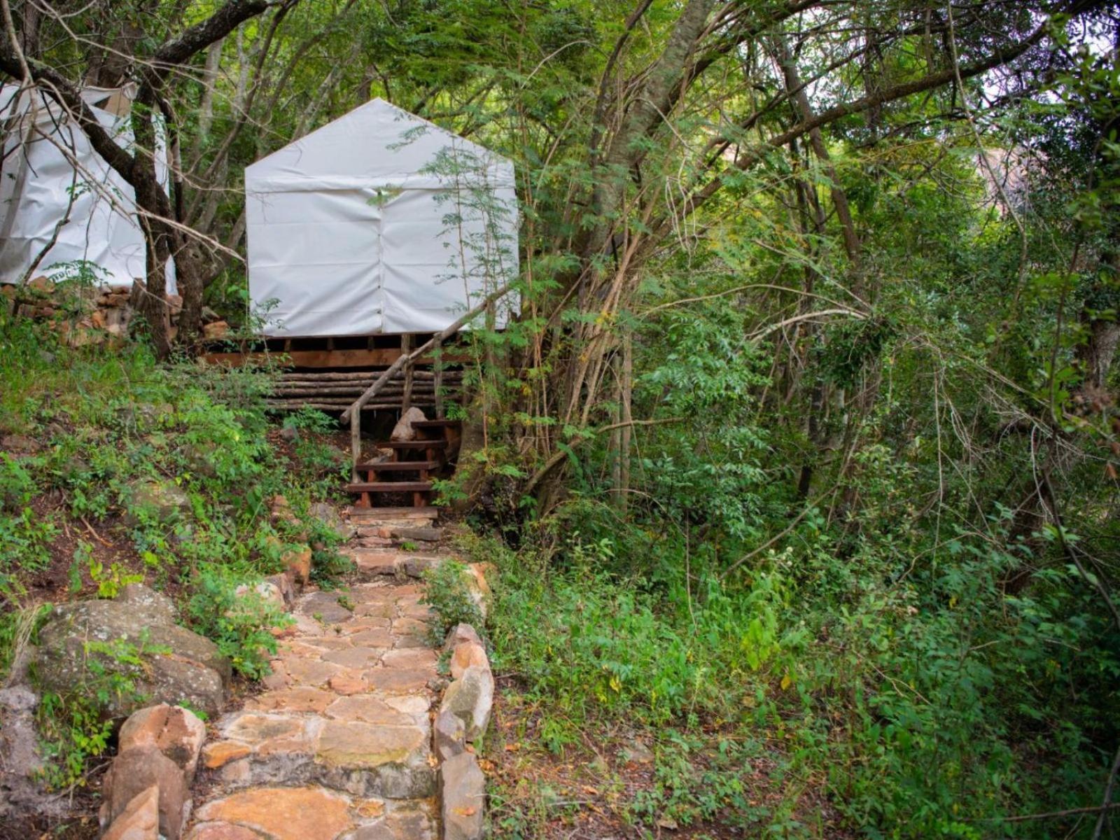 Riverbed Africa Lydenburg Rum bild